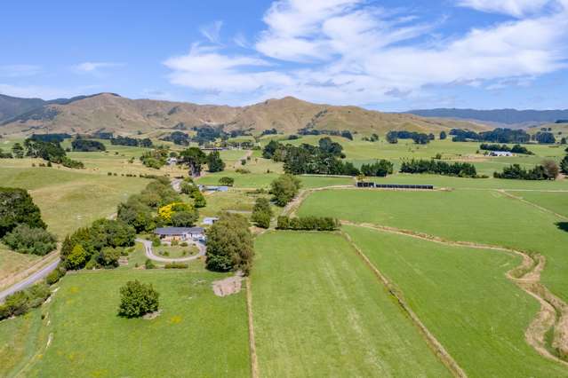 Parkville Road Eketahuna_1