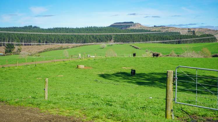 603 and 609 Kopuku Road Maramarua_5