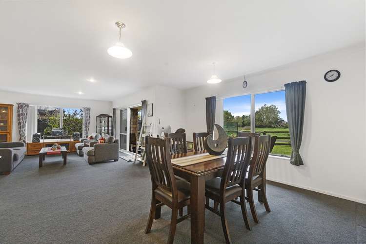 23 Nikau Place Matamata_5