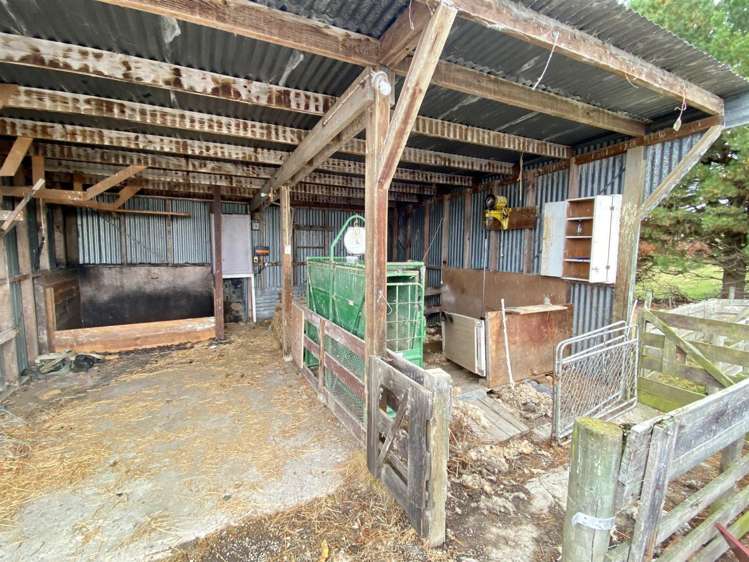 86 Totara Island Road Clinton and Surrounds_8