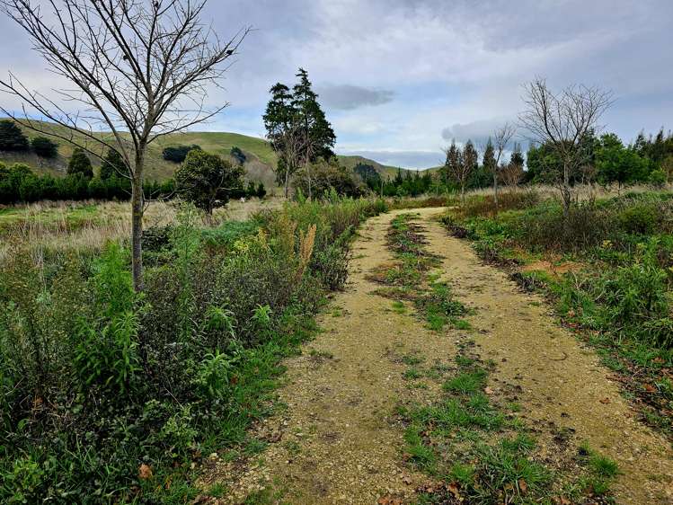 336 Makomako Road Pahiatua_7