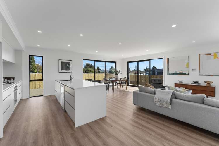 38B Te Manuao Road_3