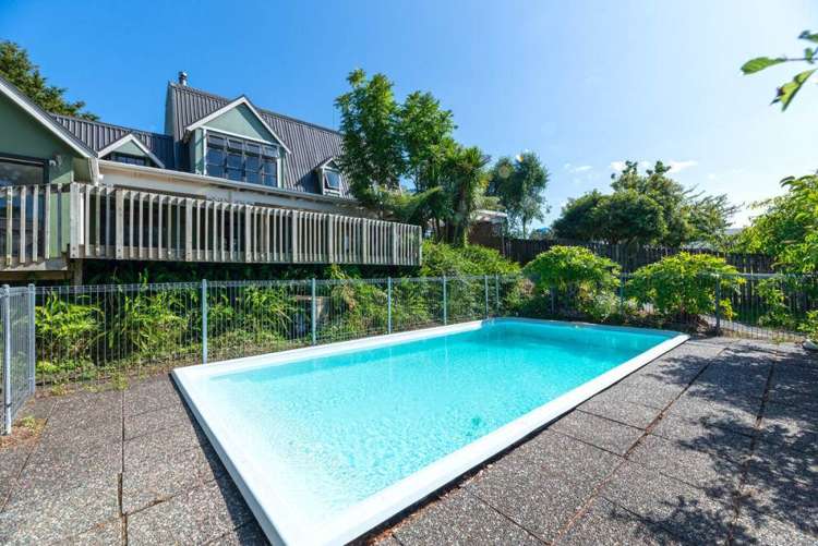 212 Pine Valley Road Dairy Flat_3