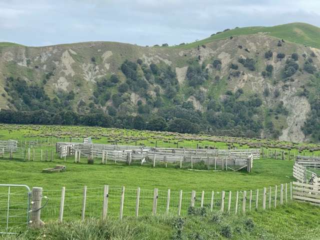 37 Waikakahi Road Pongaroa Pongaroa_1