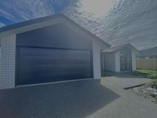 New Large Family Home