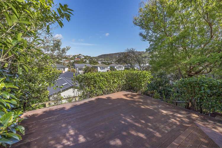 45 Tarikaka Street Ngaio_11