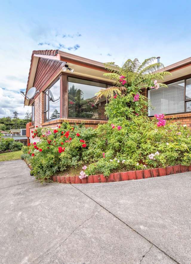 147b Edinburgh Street Pukekohe_1