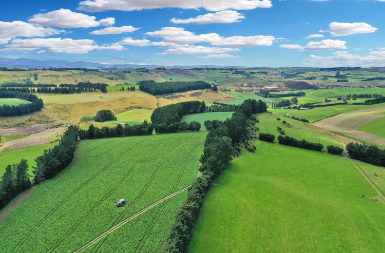 82 Paradise Gully Road Ngapara_1