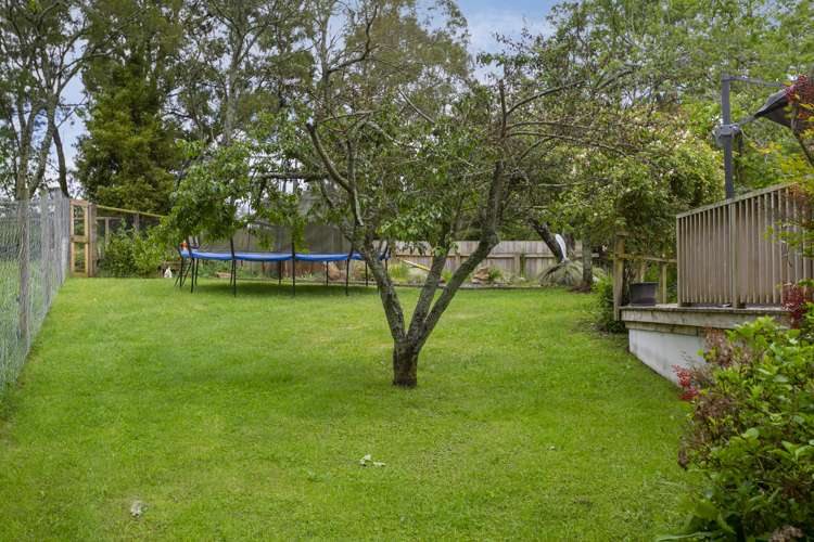 250 Link Road Wairakei and Surrounds_34