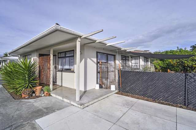 1/1017 Tomoana Road Mahora_1