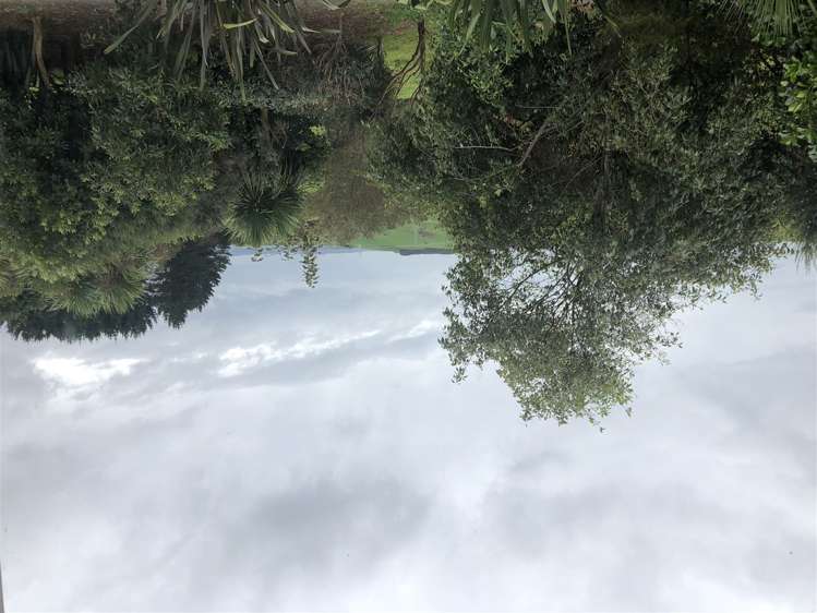 2990 Kaipara Coast Highway Glorit_17