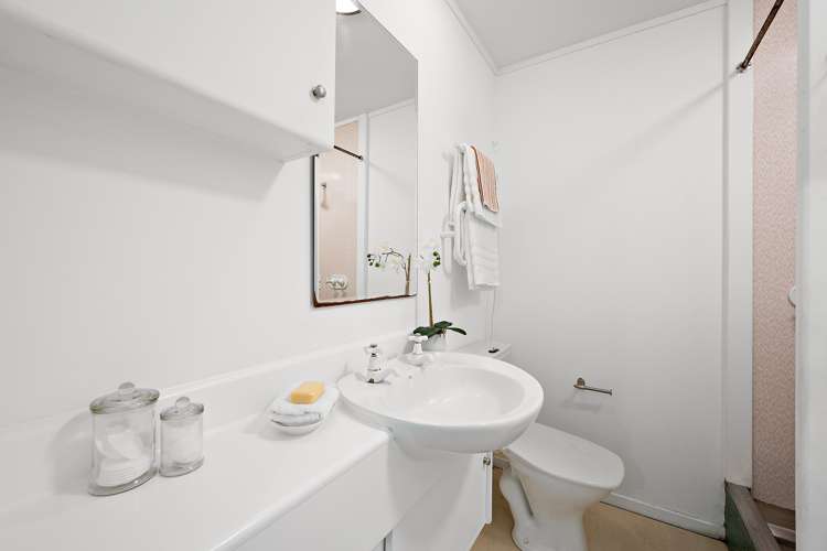 24b Norway Street Aro Valley_10