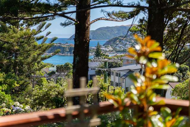 38 View Road Titahi Bay_1