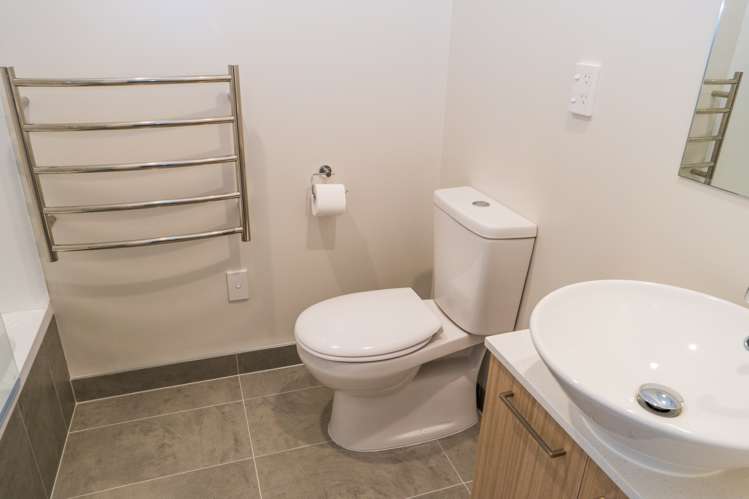 96 Arrowsmith Drive Flat Bush_11