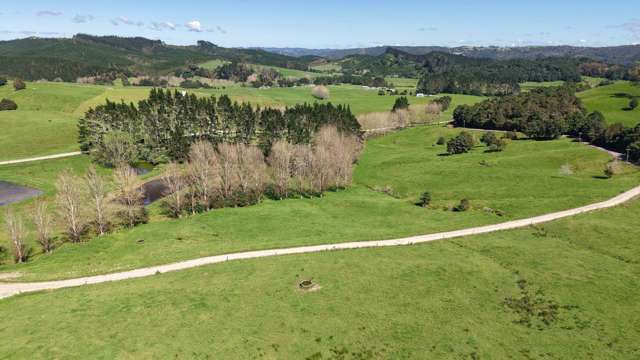 337 Mill Road Kawakawa_2