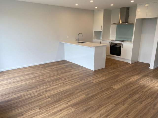 1/30 Lady Isaac Drive 11103_4