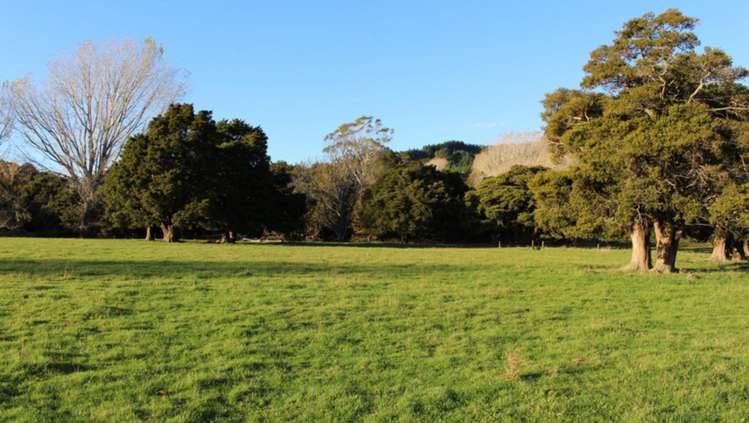 338 Tinui Valley Road Tinui_6