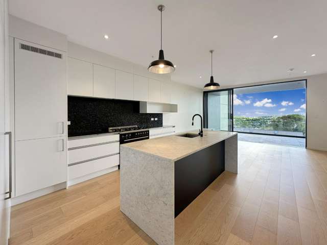 217 Great North Road, Grey Lynn