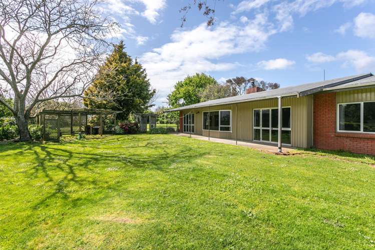 453 Waghorn Road Matamata_13