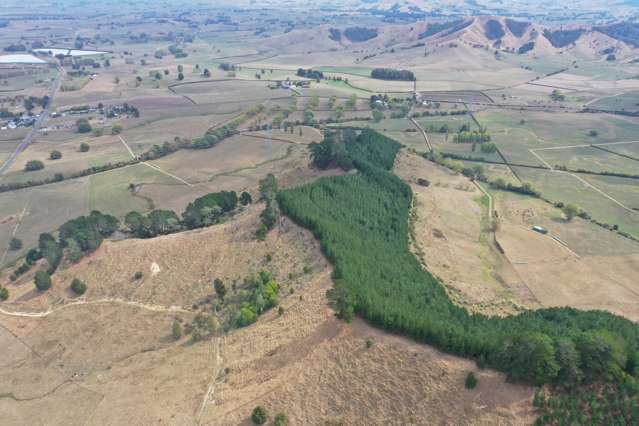 56 Mangatea Road Te Hoe_2