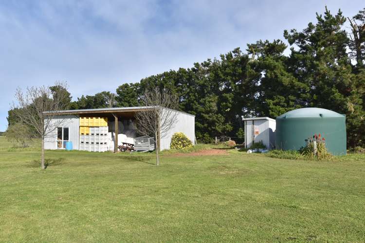 55 Darnley Road Amberley_14