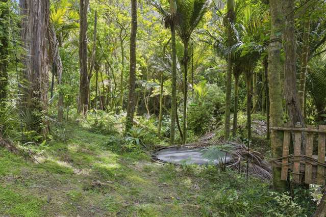 A Hidden World of Wonder in Laingholm