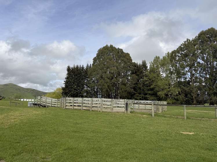 1148 Blackmount Redcliff Road Te Anau_21