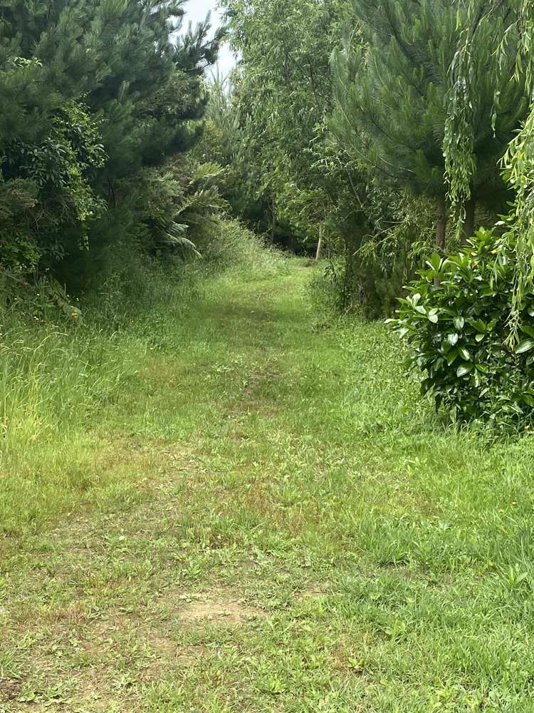 167 Wilson Road Kakaramea_13