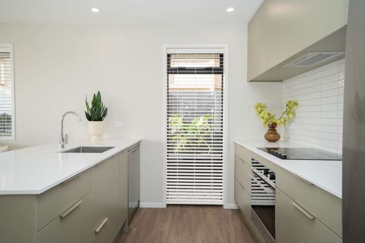 16A Malyon Street Te Puke_1