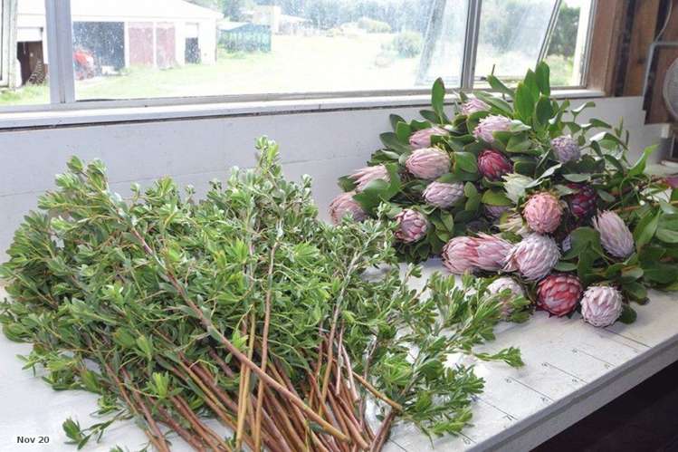 74 Okahukura Road Tapora_7