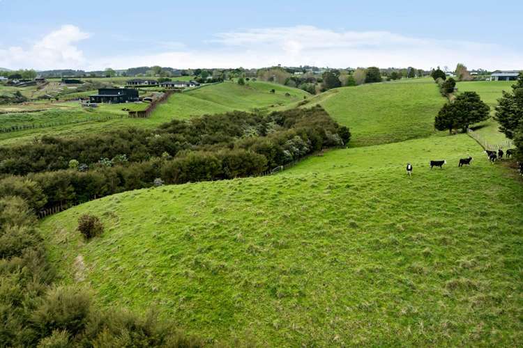 8 Suzanna Lane Ramarama_8