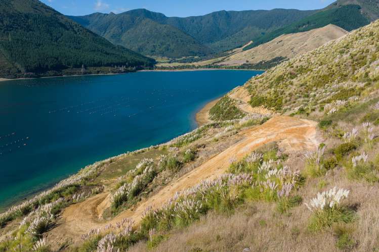 815 Manaroa Road Marlborough Sounds_26