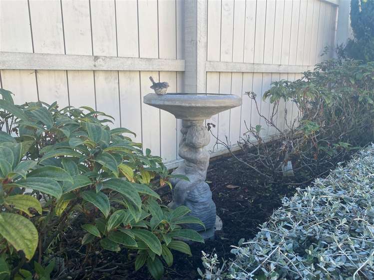 10 Bradshaw Terrace Riccarton_17