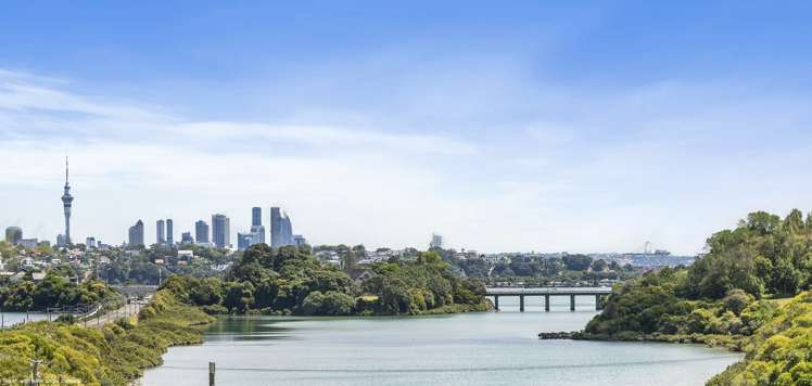 16a Kapua Street Meadowbank_19