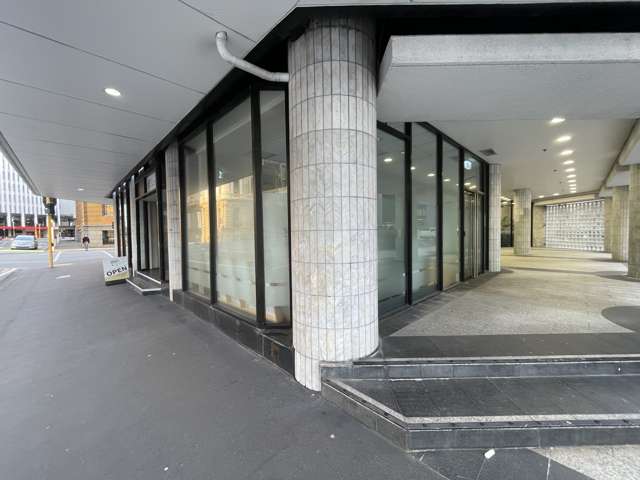 12 Hunter Street Wellington Central_1
