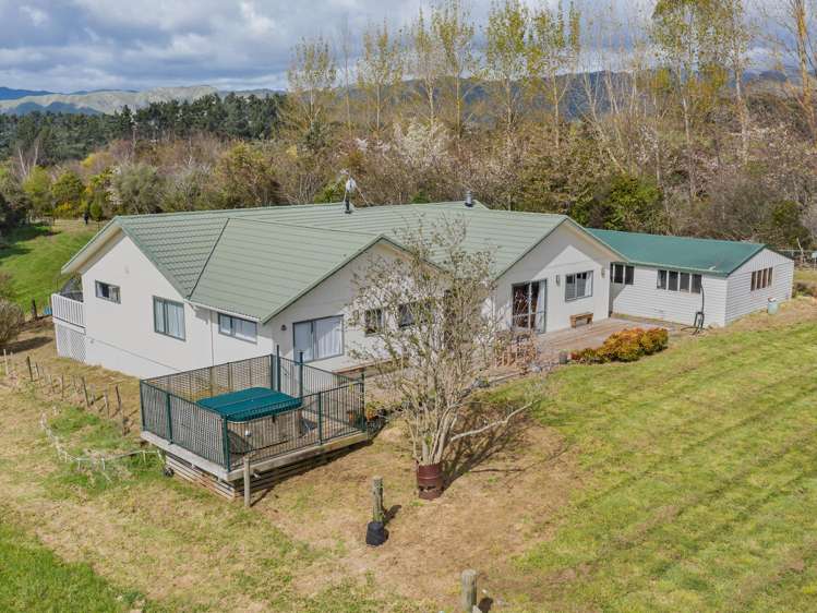 16 Twin Peaks Grove_0