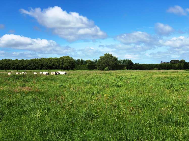 83a Ellesmere Road Halswell_3