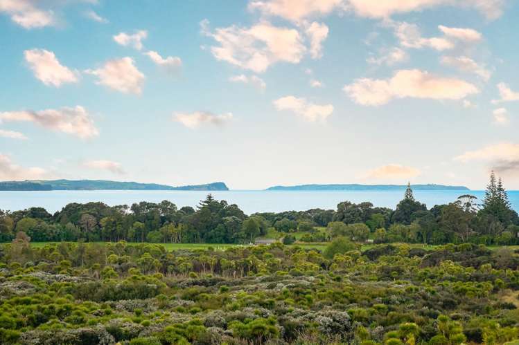 55 Bounty Road Long Bay_38