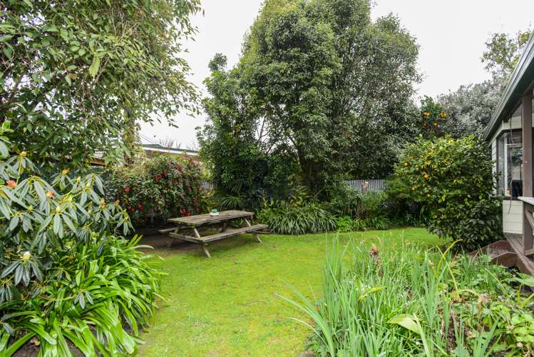 706a Seddon Street Raureka_21