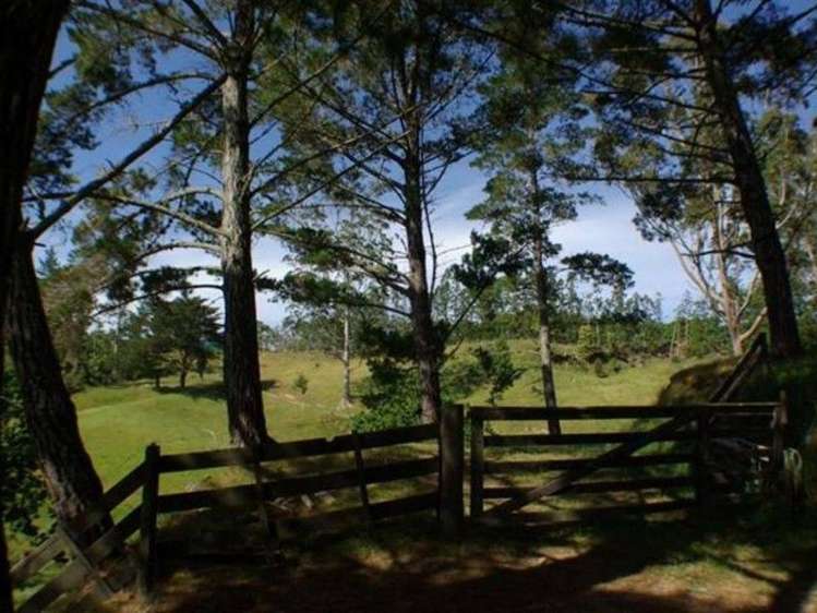 67 Wiroa Road Kerikeri_5