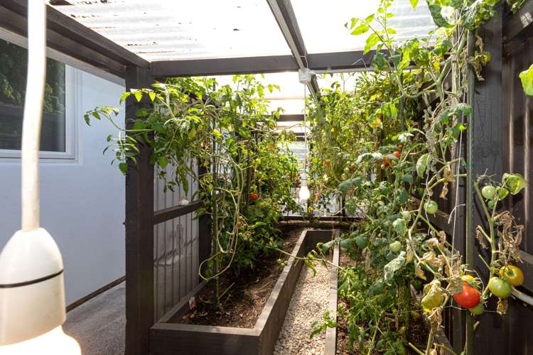 24b Kirk Road Templeton_33