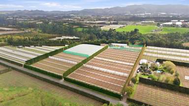 364 Te Matai Road_3