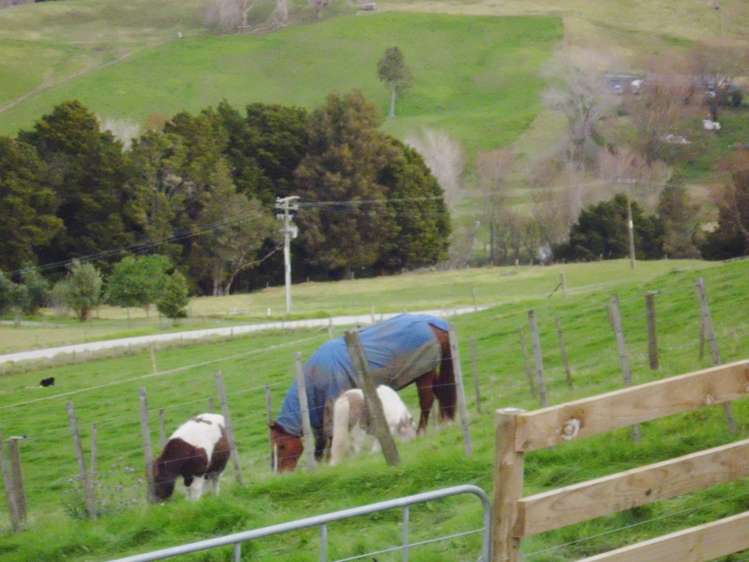 24 Totara Rise Maungaturoto_26