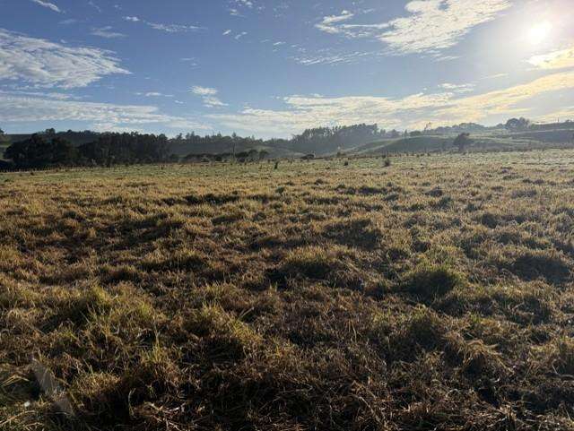 90 Station Road Dargaville_4