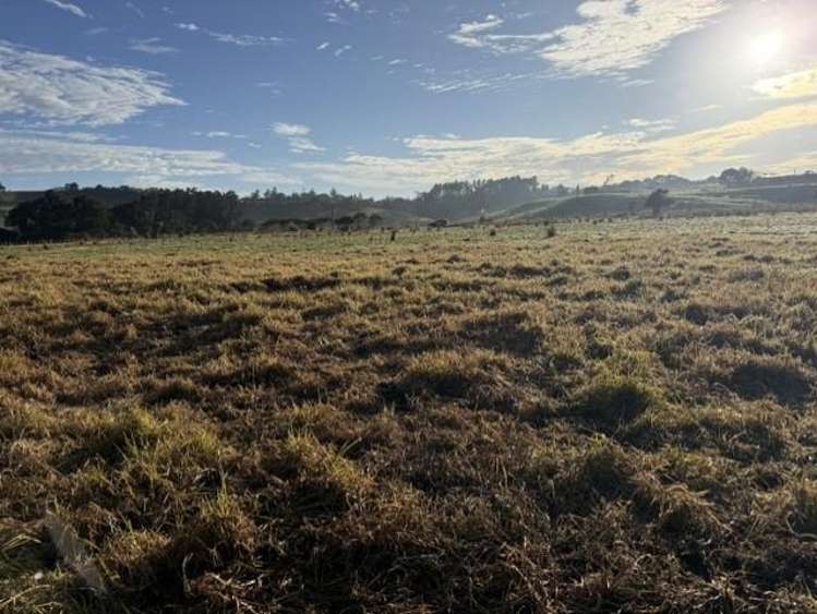 90 Station Road Dargaville_4