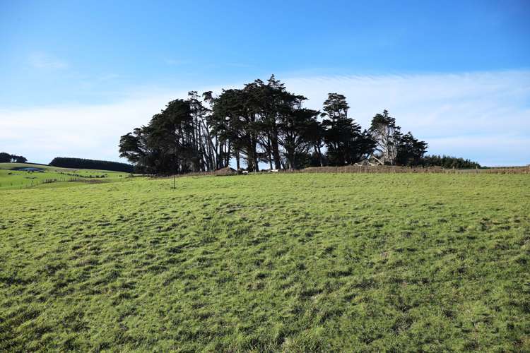 23 Fortrose Otara Road Wyndham Surrounds_5