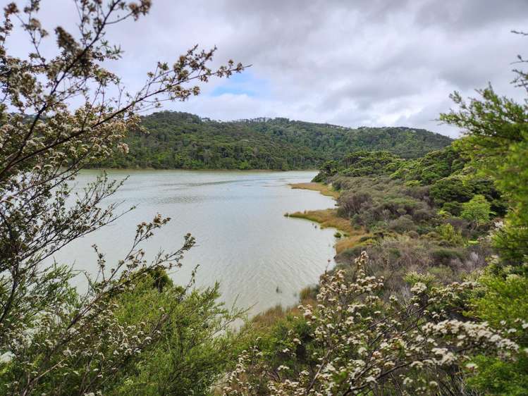 Te Papatapu Road Raglan_6