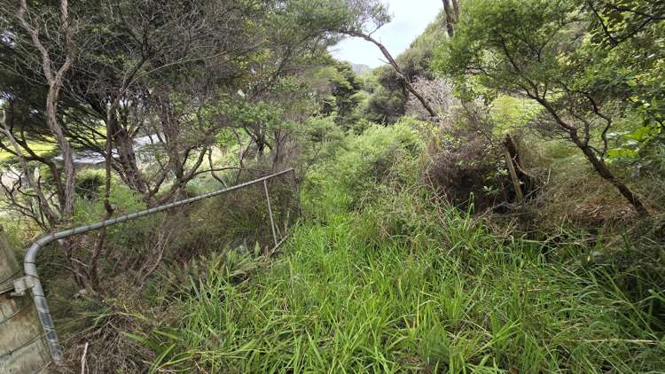 540b Medland Road Great Barrier Island_25