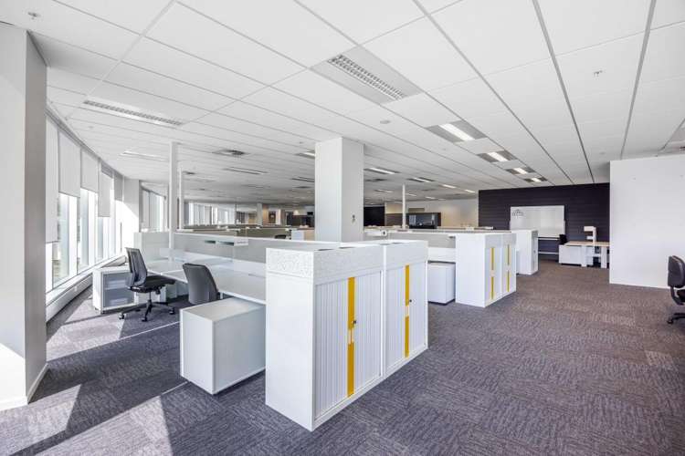 27 Napier Street Freemans Bay_20