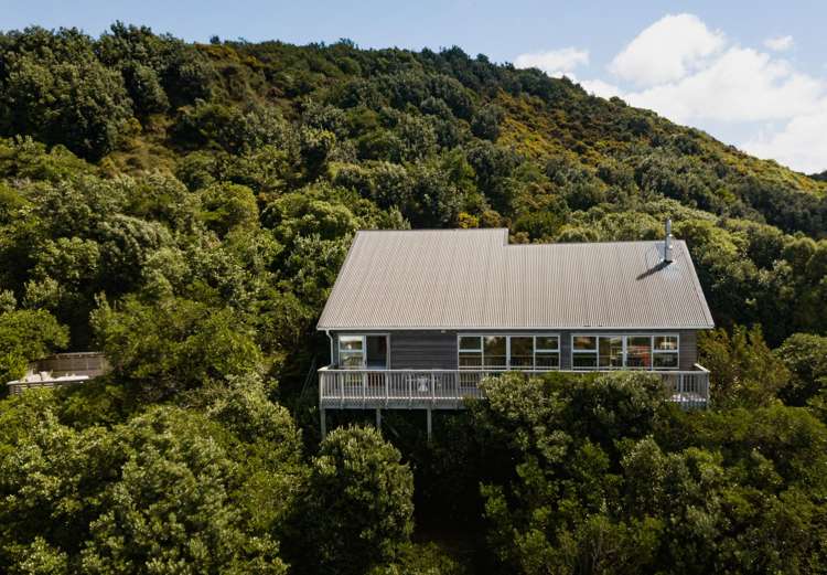 20 Valley Street Island Bay_18